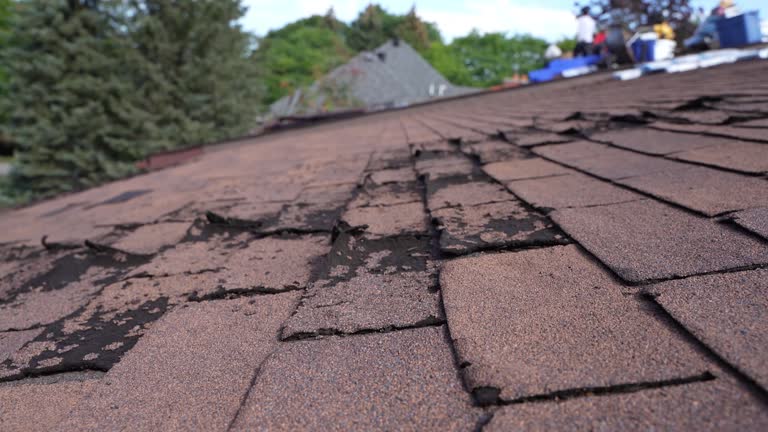 Best Roof Maintenance and Cleaning  in Daingerfield, TX