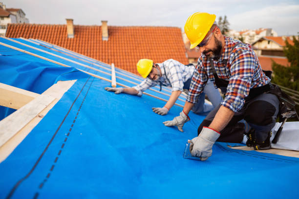 Best Roof Insulation Installation  in Daingerfield, TX