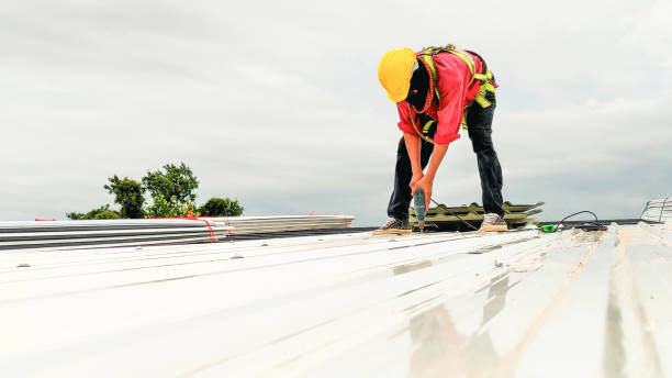 Best Roof Replacement  in Daingerfield, TX