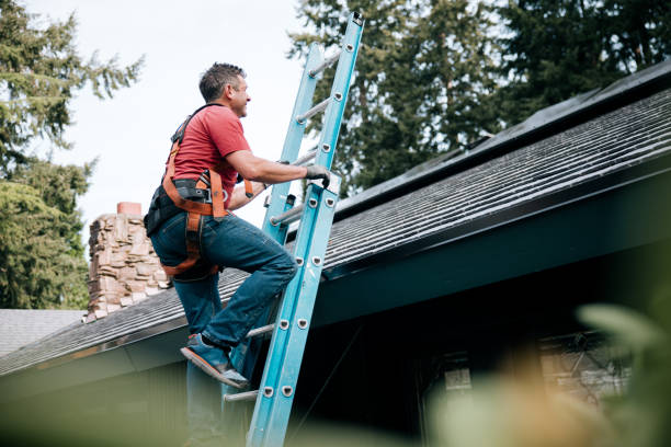 Best Solar Panel Roofing Installation  in Daingerfield, TX