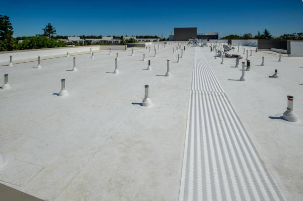 Best Cold Roofs  in Daingerfield, TX